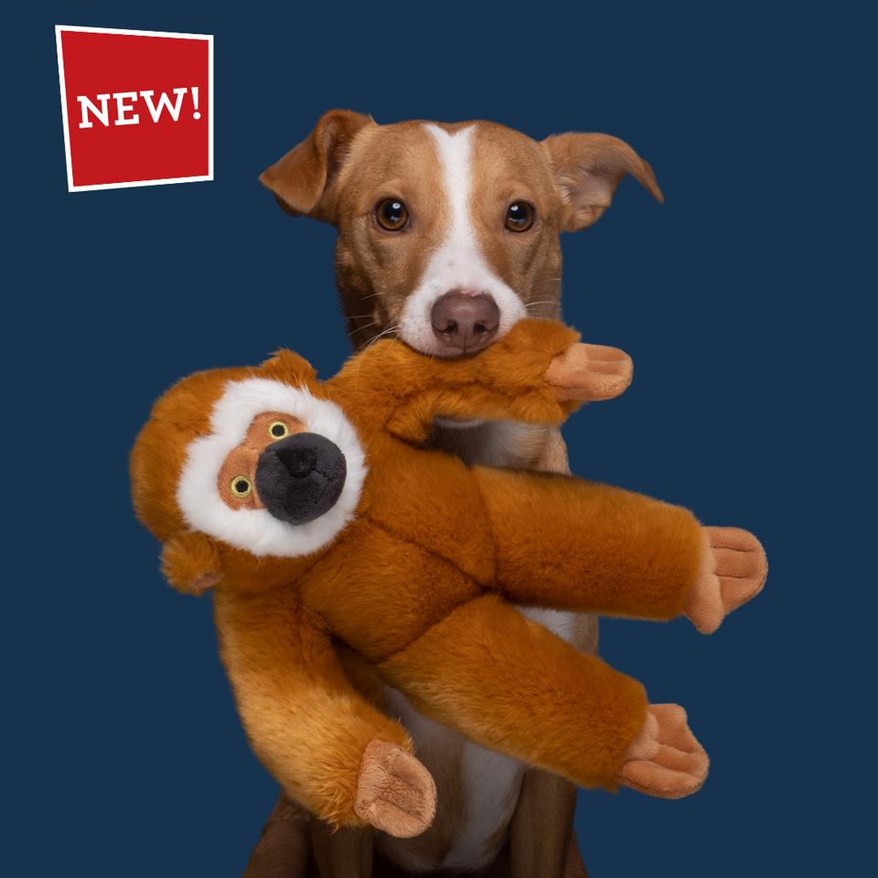 Marcel Monkey Dog Toy – Muttley & Me