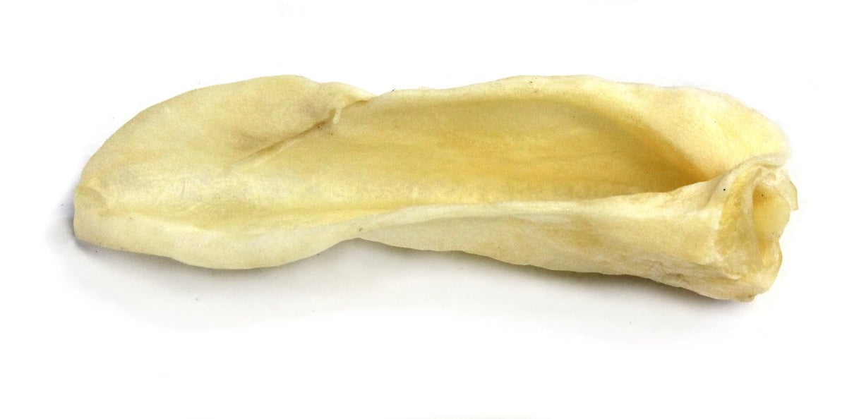 Lamb Ear Muttley & Me