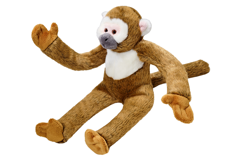 Albert Monkey - Main Image