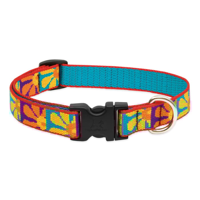 Crazy Daisy Dog Collar Muttley & Me