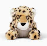 Kali Cheetah