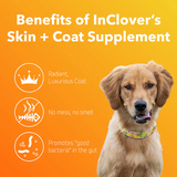 Skin & Coat