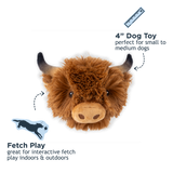 Cow Head