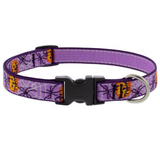 Trick or Treat Collar