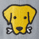 Dog With Bone Hat