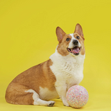 Jolly Soccer Ball