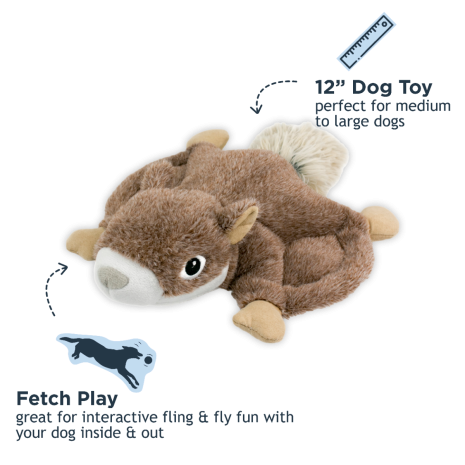 Flying Squirrel