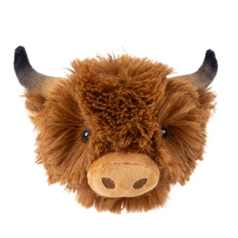 Cow Head
