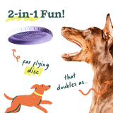 Fly N' Feed