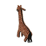 Zoo Giraffe Jr.