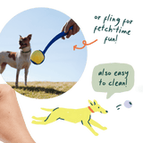 Flyball