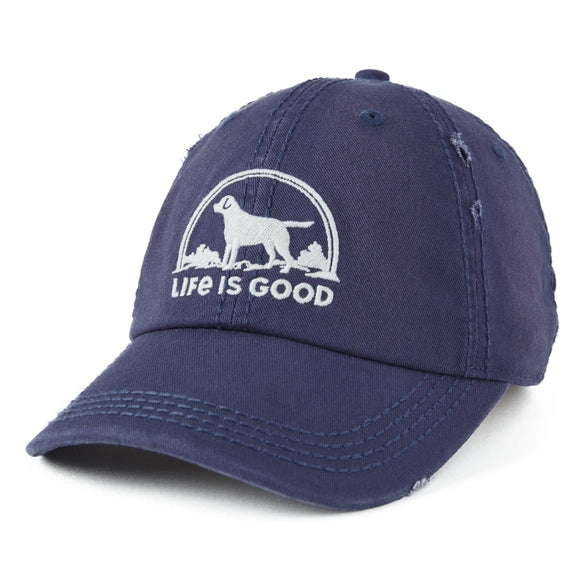 Sunwashed Floral Sunset Dog Hat