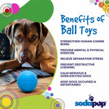 Soda Pup Squeak Ball