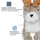 Jackelope