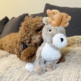 Jackelope