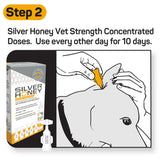Silver Honey Ear Care Treatment