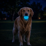 Soda Pup Strobe Ball
