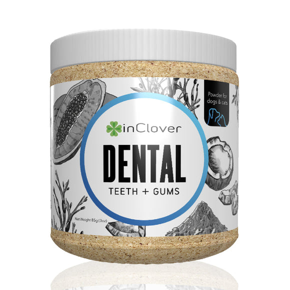 Dental Teeth & Gums