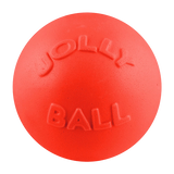 Bounce N Play