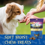 Soft Moist Dog Treats