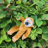 Marcel Monkey Dog Toy