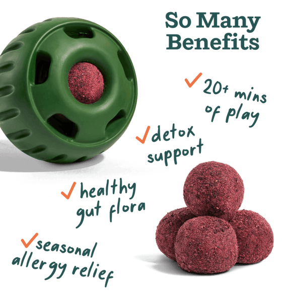 Allergy Support Pops