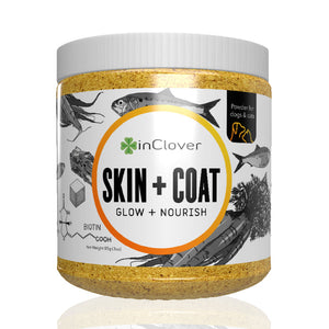 Skin & Coat