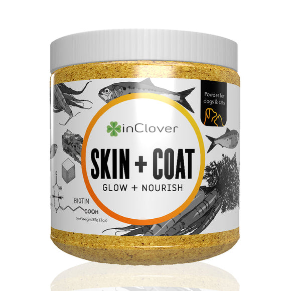Skin & Coat