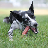 Jumbo Bully Stick 6"