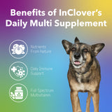 Daily Multi Immunity & Vitality