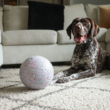 Jolly Soccer Ball