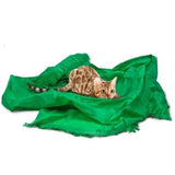 Magic Carpet
