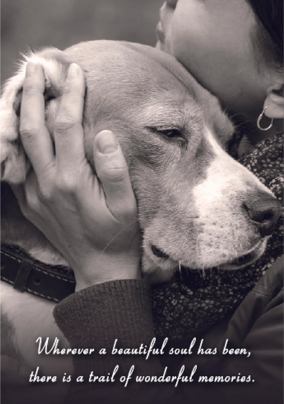 Wherever A Beautiful Soul
