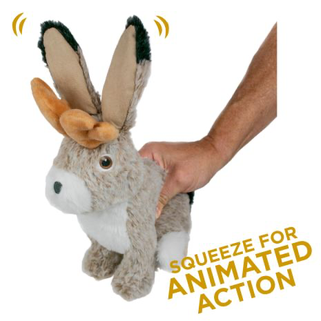 Jackelope