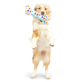 It's My Barkday Bone