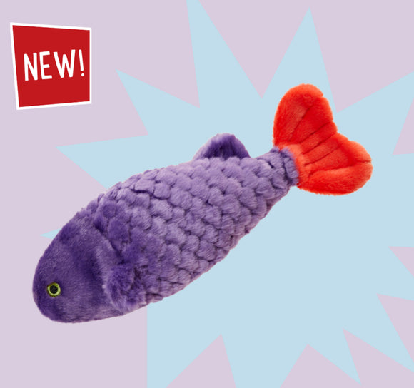 Cici the Tropical Fish
