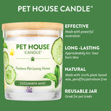 Cucumber Mint Candle