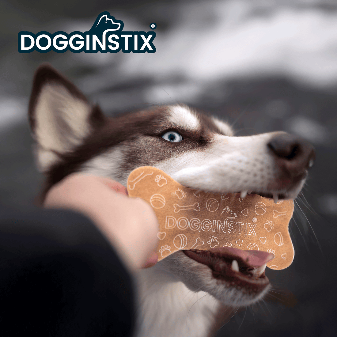 Dogginstix Beef Collagen – Muttley & Me