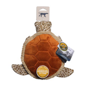 Animated Sea Turtle