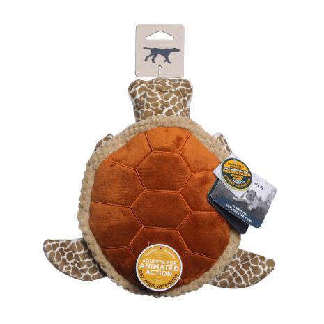 Animated Sea Turtle