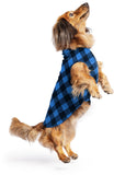 Gold Paw Fleece