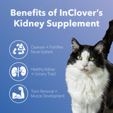 Kidney Cleanse & Detox
