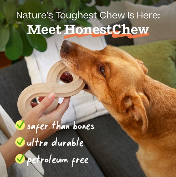 Honest Chew-Bone