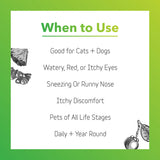 Allergy Soothe & Support
