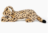 Kali Cheetah
