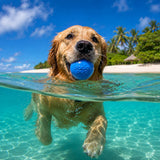 Soda Pup Squeak Ball