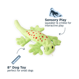 Lizard