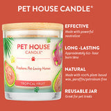 Tropical Fruit Candle