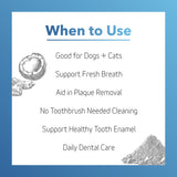 Dental Teeth & Gums