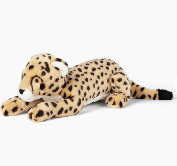 Kali Cheetah